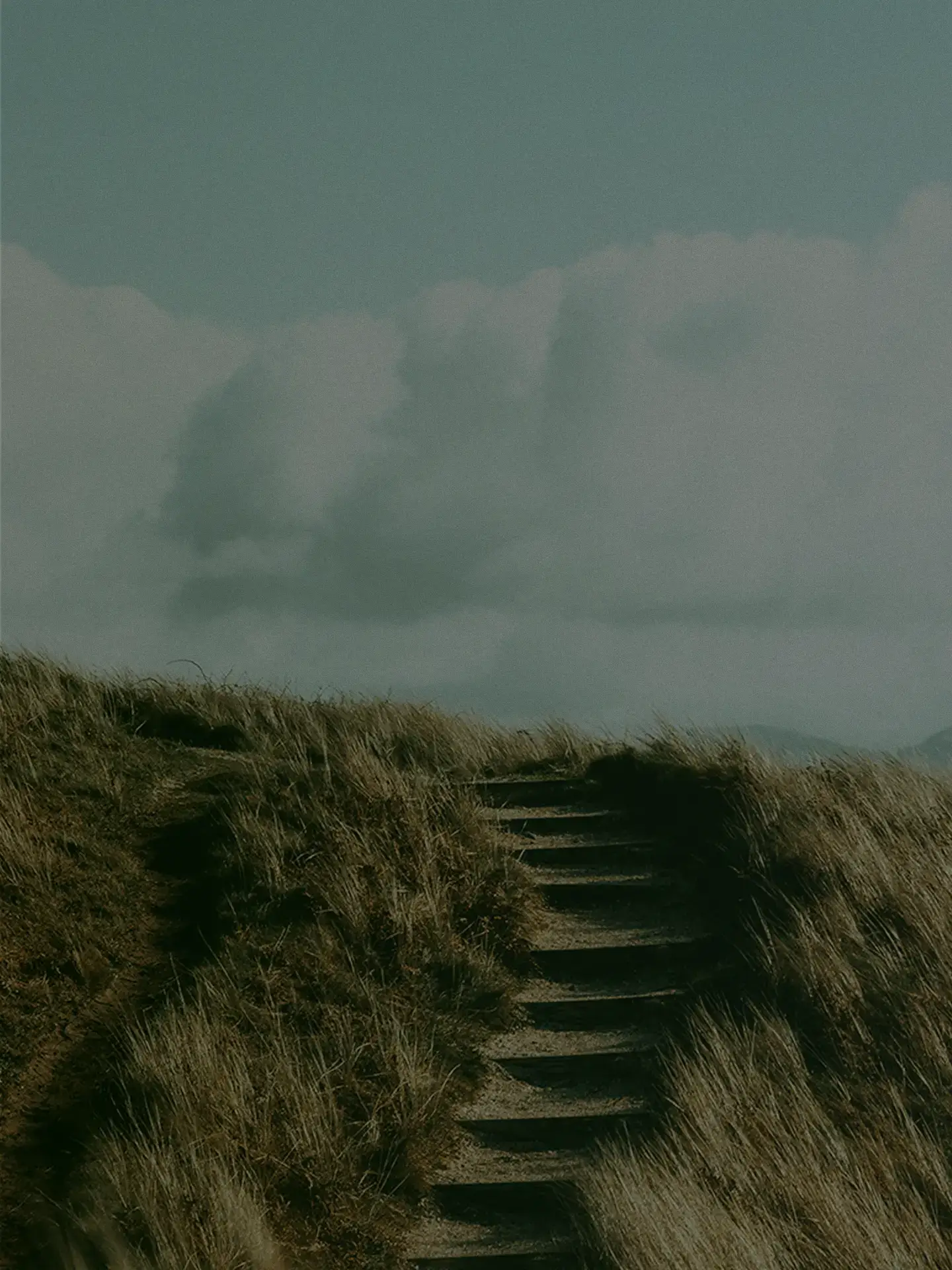 Outdoor steps climbing through tall grass under a cloudy sky